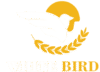 logo web